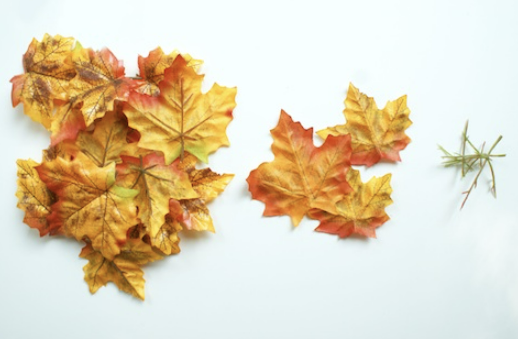 Frunze de toamnă pentru idei interesante.