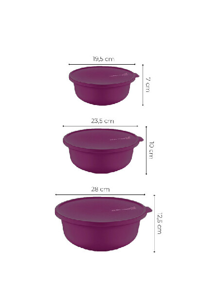 Set recipiente alimente (3 buc.) Yzop S (Violet)