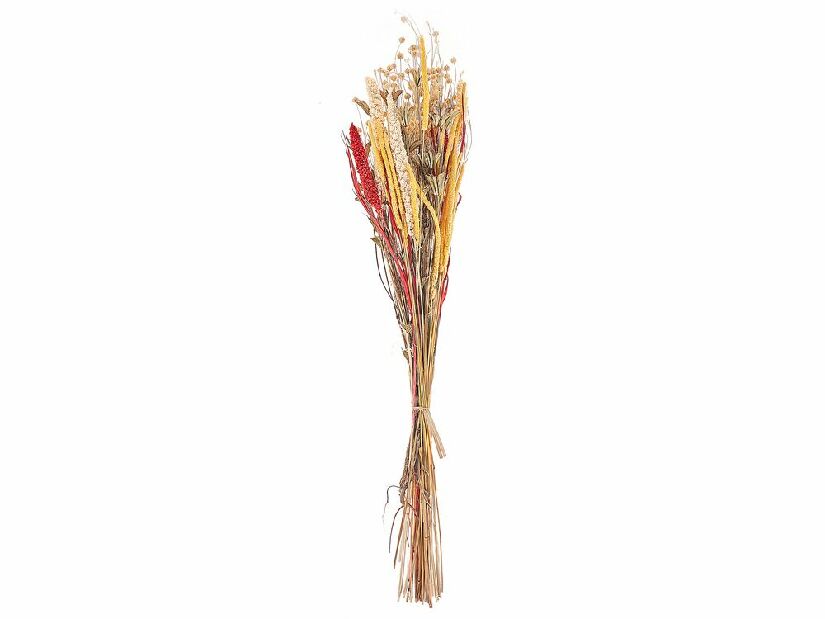 Buchet de flori uscate Pamza (roșu)