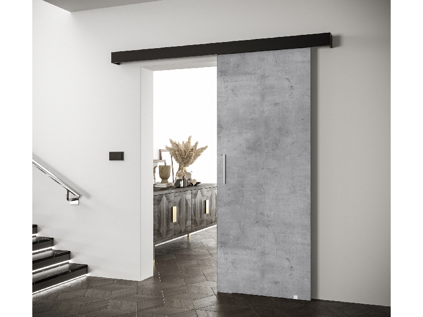Uși culisante 90 cm Sharlene I (beton + negru mat + argintiu)
