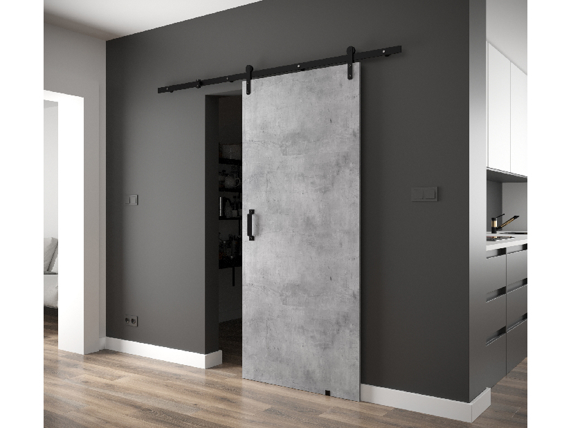 Uși culisante 90 cm Philomena I (beton + negru mat)