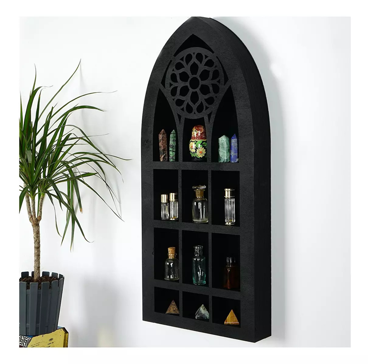 Organizatorii picture 0